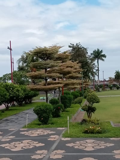 The image shows a park in Gianyar, Indonesia. A paved pathway with decorative floral patterns in light brown and grey runs through the foreground. To the left of the path, a neatly manicured green lawn slopes upwards. Further into the park, several trees with tiered, umbrella-shaped canopies are visible. These trees have reddish-brown trunks. A tall palm tree stands in the background. The park features several exercise machines and benches scattered throughout the green lawn. In the distance, a building with a red-tiled roof and white walls can be seen. The sky above is partly cloudy, with patches of blue sky peeking through the white clouds. The overall scene depicts a well-maintained public park, likely a popular spot for recreation and relaxation in Gianyar.