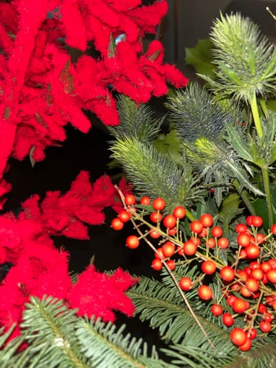 The image depicts a close-up of a static floral and foliage arrangement, located indoors in Erba, Italy. No individuals, animals, actions, or interactions are visible. The arrangement is composed of various artificial and natural elements set against a dark, indistinct background.
The left and lower-left areas feature multiple clusters of artificial red foliage, characterized by a soft, fuzzy texture, consistent with faux poinsettia blooms.
The upper-right section contains several distinct clusters of spiky, greenish-grey plant material, consistent with thistles or similar plants. Interspersed among these and below them are dark green holly leaves with serrated margins.
A prominent feature in the center-right is a cluster of numerous small, spherical, bright red berries attached to thin, light brown stems. These berries are consistent with either artificial or natural Ilex species.
Across the bottom and central-right portions of the frame, dark green coniferous branches, resembling pine or fir needles, are present, forming a textural base. The lighting suggests an interior setting, emphasizing the details of the decorative components.
