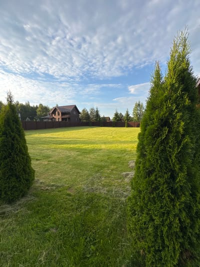 In Борисьево Днп, Russia, this image captures a meticulously maintained grassy yard under a bright, partly cloudy sky. Two tall, conical green trees frame the foreground, one on the left and one on the right, with a swath of freshly cut grass clippings visible near the base of the left tree. The expansive lawn, illuminated by the sun, stretches towards a dark brown wooden fence that encloses the property. Beyond the fence, a two-story wooden house with a dark roof and multiple windows is visible, set against a backdrop of dense green trees. The overall impression is one of a peaceful, rural residential scene.
