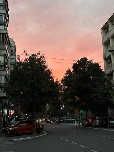 The image depicts a street scene in Belgrade, Serbia, during a sunset. The sky is filled with a soft, peachy-pink glow, indicating the end of the day. In the foreground, a street lined with parked cars stretches into the distance, bordered by trees and buildings. One prominent car is a bright orange SUV. The buildings are modern, with visible air conditioning units on their facades. Traffic lights are visible, showing red and green signals. The atmosphere suggests a calm evening in an urban environment. The image is oriented vertically. No people are clearly visible in the frame. Some faint text is visible on a red and white sign on a building in the background, which appears to read "GTC Group".