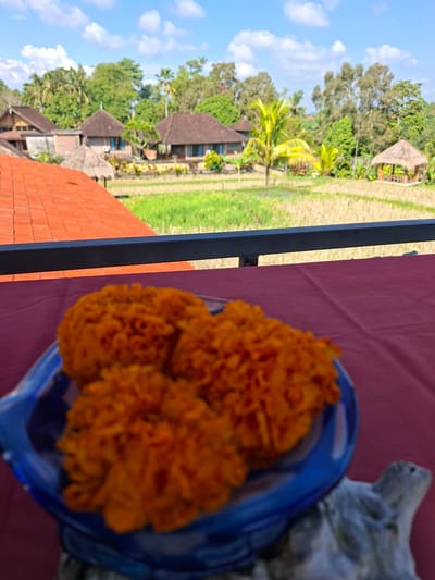 From an elevated perspective in Ubud, Indonesia, the image features a blurred foreground of orange flowers in a blue dish resting on a maroon surface. To the left, a black railing provides a partial barrier, beyond which the landscape opens up to a view of rice paddies and traditional Balinese architecture amidst lush greenery. The sky is blue with scattered clouds. The blurred state of the flowers contrasts with the sharper details of the landscape, suggesting a focus on the broader scene.