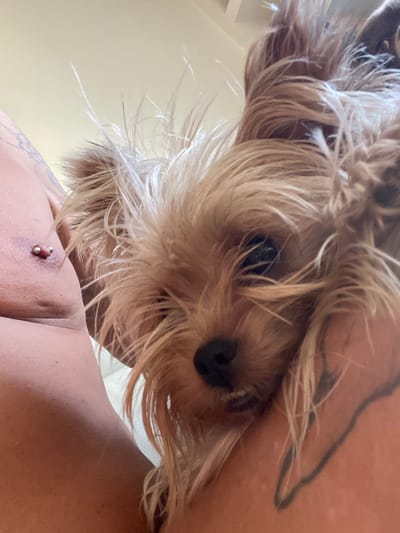 The image shows a close-up, downward-facing perspective of a small, tan-colored dog with fluffy fur. The dog's face is partially obscured by its own hair, but its dark eyes and wet nose are visible. The dog is looking directly at the camera. In the background, a person's shoulder and upper chest are visible, with tattoos on their skin. A piercing is also visible on the person's shoulder. The lighting suggests it is daytime, and the setting appears to be indoors, possibly a home. There is no visible text in the image.