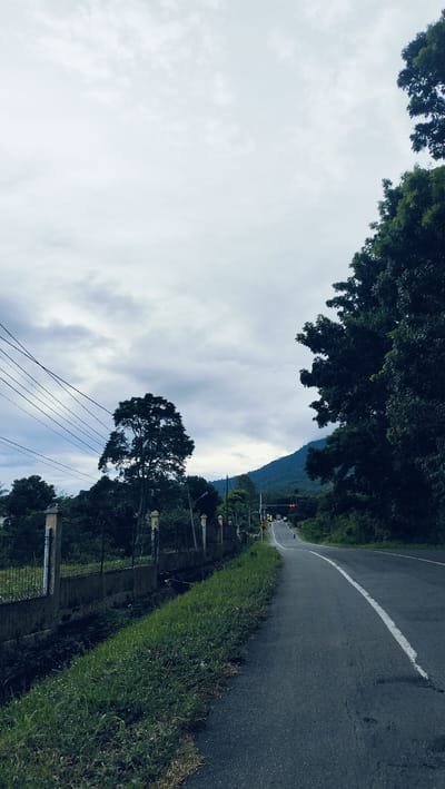 A vertical shot captures an asphalt road winding through a lush, mountainous landscape under an overcast sky in Lamtamot, Indonesia. The road, marked by a white solid line on its right edge, recedes into the distance where faint shapes of vehicles and people are visible near what appear to be red traffic lights, indicating an intersection or stop.
On the left, a sturdy concrete and metal fence with decorative pillars lines the roadside, bordering an overgrown ditch filled with dark earth and weeds. Beyond the fence, dense green vegetation and several utility poles with multiple power lines are visible. A large, mature tree with a full crown stands prominently on this side, slightly to the left of the road.
To the right, tall, dark green trees form a thick, shadowy border, framing the road and partially revealing a majestic, tree-covered mountain range in the background. The sky is largely covered by diffuse grey clouds, casting a soft, muted light over the scene. The weather appears cloudy, and the time of day is likely daytime, but without direct sunlight. The overall impression is one of a serene, rural journey through a tropical environment. No discernible text is visible in the image.