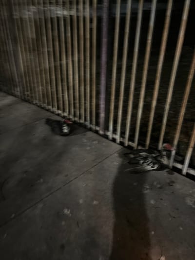 A low-angle, blurred nighttime shot captures a concrete sidewalk next to a vertical slatted fence. Two pairs of shoes are visible on the ground near the fence. In the foreground, a dark, blurred object, possibly a bird or fowl, lies on the sidewalk. To the right, a large, indistinct shadow stretches across the pavement. The scene appears to be located outdoors, possibly in an urban environment such as Miami, Florida, United States of America, though specific identifying landmarks are not discernible due to the blur and darkness.