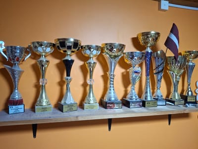 The image shows a shelf mounted on an orange wall, displaying a collection of trophies. There are at least eleven trophies of varying sizes and designs, mostly made of gold-colored metal and silver-colored metal, with some featuring black bases. A small Latvian flag is placed among the trophies on the right side of the shelf. The shelf itself is made of wood and is supported by dark brackets. On the wall above the shelf, there is a white electrical box. The overall setting appears to be indoors, possibly a home or an office, in the city of Ogre, Latvia. The lighting suggests an indoor environment, and the orange wall and wooden shelf are prominent environmental features. There are no people visible in the image.