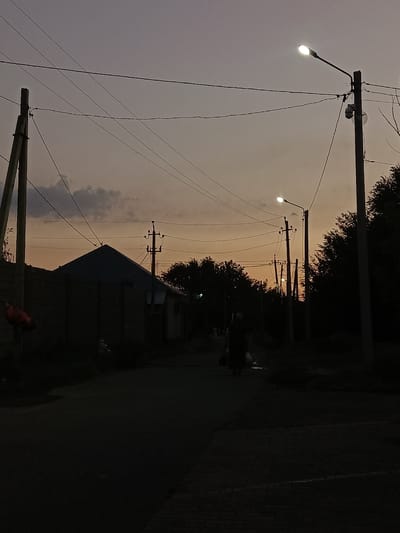 The image depicts a street scene at dusk in Shymkent, Kazakhstan. The sky is a gradient of purple and orange, with visible clouds. Several utility poles with electrical wires crisscross the sky. One pole on the right side of the image has a street light illuminating. On the left, a dark, angular building with a pitched roof is partially visible behind a wall. Further down the street, a lone figure, appearing to be a woman carrying a bag, walks away from the camera. Trees and foliage form dark silhouettes on the right side of the frame, and a paved surface, likely a sidewalk or street, is visible in the foreground. The overall impression is a quiet, dimly lit evening in a residential or semi-urban area.