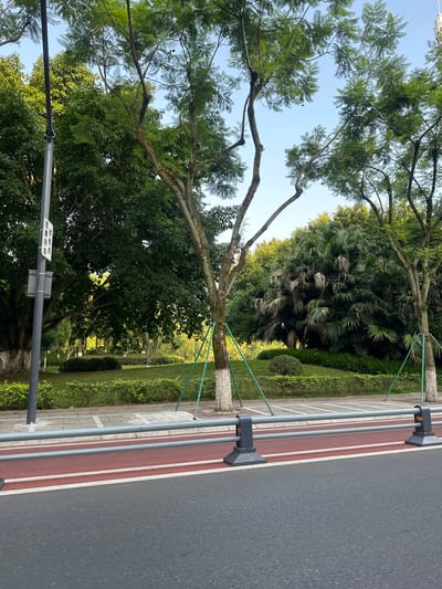 This vertical-format image presents a sunny outdoor scene, likely a public green space or a well-maintained roadside within the Chongqing High-tech Zone, China. The setting features lush greenery, paved pathways, and urban infrastructure under a clear blue sky.

In the foreground, a dark grey asphalt road is visible, bordered by a distinct red-colored lane, possibly a bike path, delineated by white lines. Parallel to the road and path is a robust grey metal railing system, consisting of vertical posts and horizontal bars, fitted with black rectangular attachments at intervals. Adjacent to the railing, a sidewalk paved with light grey square tiles can be seen.

The scene is dominated by numerous trees with vibrant green foliage, some of which appear to be young and are supported by green straps tied to short grey posts. Beyond the railing and sidewalk, a manicured grassy area extends into the mid-ground, featuring dense shrubs and additional trees, including some with large, fan-like fronds resembling palms.

A grey pole with a white rectangular sign is visible in the lower left portion of the image. The sign displays Chinese characters: "请注意安全" (qǐng zhùyì ānquán), which translates to "Please pay attention to safety."

The bright lighting and absence of clouds indicate a clear, sunny day, likely during the morning or early afternoon. The overall impression is one of a clean, orderly, and green urban environment. No people or specific activities are depicted.