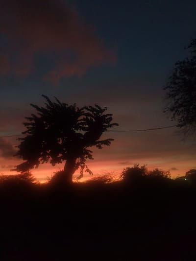 The image depicts a sunset or twilight scene with silhouettes of trees and vegetation against a colorful sky. The sky displays a gradient of deep blue at the top transitioning to oranges and reds near the horizon. The primary subject is a large, silhouetted tree in the center-left of the frame, characterized by its spreading branches and full foliage. To the right, another smaller silhouetted tree is visible. A dark, low-lying line of vegetation stretches across the foreground. A thin, horizontal line, possibly a power line or wire, is discernible across the sky. The scene appears to be an outdoor, rural or semi-rural environment. The location is identified as Santa Ana, Venezuela. There are no people or discernible actions occurring in the image. The overall mood is serene and captures the natural beauty of a twilight sky.