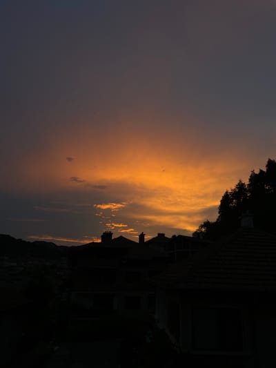 The image depicts a sunset over the city of Zlatograd, Bulgaria. Silhouetted against the vibrant orange and purple sky are the roofs and chimneys of several houses, as well as a dense cluster of trees on a hillside. The foreground is dominated by the dark shapes of buildings, obscuring much of their detail, with a hint of a hilly landscape in the far distance. The lighting suggests it is either dawn or dusk, with the sun's rays casting a warm glow through the clouds. No people are visible in the frame.