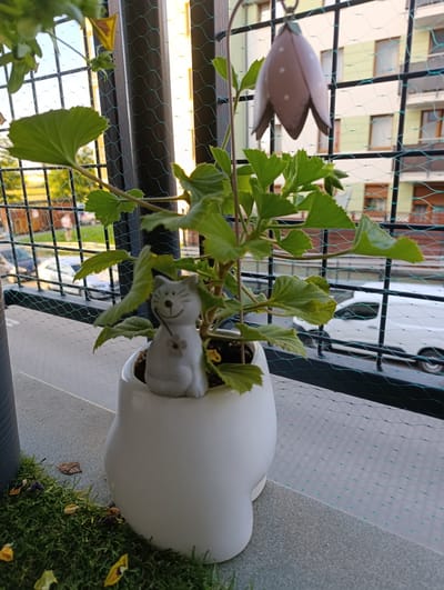 An outdoor potted plant with green leaves sits on a balcony ledge in Krakow, Poland. A small, gray ceramic cat figurine is placed inside the white pot, facing the viewer. The plant has a decorative, pink, bell-shaped ornament hanging from a thin wire above it. A green safety net is stretched across the balcony railing. In the background, an apartment building with light-colored walls and numerous windows is visible, along with cars parked on a street. The scene appears to be captured in daylight.