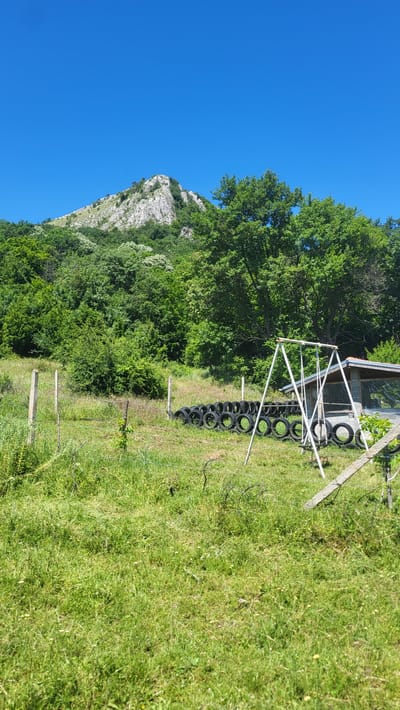 In the city of Bilka, Bulgaria, a mountainous landscape is captured under a clear blue sky. In the foreground, a grassy field is dotted with small white and yellow wildflowers. A simple wire fence with wooden posts runs horizontally across the mid-ground. Adjacent to the fence, a line of black tires is arranged, forming a makeshift barrier or decoration. A metal swing set with white A-frame legs stands in the center of the frame, next to a small, open-sided structure with a corrugated metal roof. In the background, a lush green forest covers the lower slopes of a rocky, barren mountain peak.