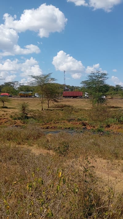 A wide shot reveals a dry landscape under a blue sky dotted with white clouds. A road cuts through the scene, carrying a line of trucks and vehicles. Sparse trees dot the horizon and flank the road. The foreground is filled with brown, dry vegetation, with a small stream or puddle visible. A tall communication tower rises above the trees in the middle ground.