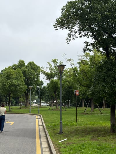 The image shows a park scene in Jiangning District, China. A paved pathway with a yellow line and an arrow indicating direction runs alongside a grassy area with mature trees. Streetlights are spaced along the pathway. A person is walking on the pathway. The sky is overcast.
