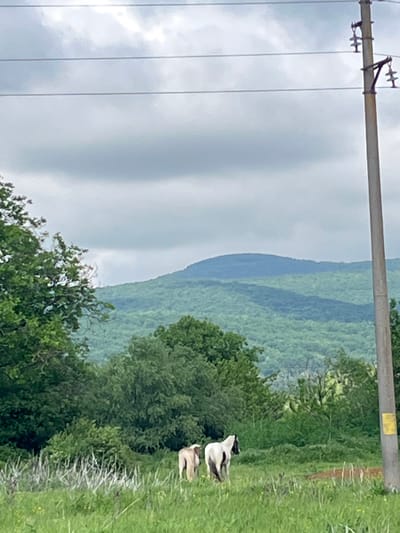 The image depicts a rural scene, likely in Lozarevo, Bulgaria. Rolling hills covered with green vegetation are visible in the background. In the foreground, there's a grassy area with two birds (possibly ducks or geese). Power lines and poles are present on the left side of the frame. The sky is overcast with clouds.