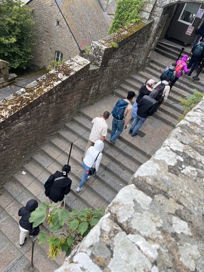 This image depicts a group of tourists ascending a stone staircase at Le Mont-Saint-Michel, France. The staircase is characterized by its weathered stone steps and a metal railing that runs along the side. The architecture suggests a historic religious site, with rough-hewn stone walls forming the pathway. The tourists, dressed in casual clothing and carrying backpacks, are spread out on the stairs, some walking ahead and others behind. The vegetation, including a tree with green foliage and a small plant with seed pods, indicates an outdoor environment. The lighting suggests an overcast or diffused daylight, casting subtle shadows on the steps. The perspective is from above, looking down the staircase, emphasizing the steepness and length of the ascent.