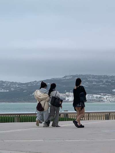 The image displays three individuals walking on a light-colored paved promenade along the coast of Tangier, Morocco, on an overcast day. A metal railing, composed of horizontal bars and vertical posts, separates the promenade from a light blue-green body of water. Across the water, a hilly landscape is visible, densely populated with white buildings that ascend the slopes, under a uniformly grey sky. A slender tower structure is discernible on a distant hill.
The three individuals, appearing female, are observed from behind, walking from left to right across the frame. The leftmost person wears a light-colored, possibly cream or off-white, puffy jacket or vest over light-colored trousers, with a dark brown backpack visible beneath the jacket. The middle person wears a light grey hooded top and black-and-white checkered trousers, carrying a black tote bag over her left shoulder. The rightmost person, walking slightly ahead, is dressed in a black long-sleeved top and a short plaid skirt or shorts, with a dark bag carried on her left arm. All three wear dark, casual footwear. They appear to be walking together as a group, though no direct interaction between them is evident.