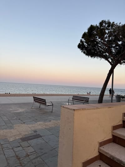 The image depicts a beachside promenade at dusk. A large pine tree with dark foliage dominates the left side of the frame, its branches silhouetted against a pastel sky transitioning from pale blue to soft orange. A paved walkway runs parallel to the sea, with two dark metal benches placed at intervals. In the distance, the sea is calm with gentle waves, and a few people are visible on the beach and in the water. The promenade is paved with gray stone tiles, and a light-colored wall with steps is visible on the right side. The scene evokes a sense of tranquility and the end of a summer day. The time of day is likely late afternoon or early evening, given the soft, warm light in the sky. The location is identified as Platja D'aro, Spain.