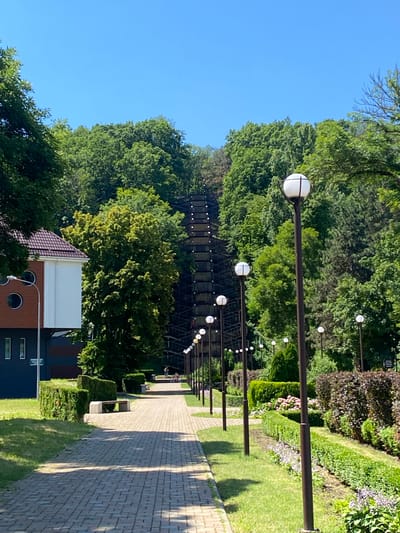 The image shows an outdoor scene with a clear blue sky. In the foreground, a paved pathway is lined with manicured bushes and trees. There are several streetlights with spherical white globes mounted on dark poles, extending into the distance along the pathway. Some of these lights are illuminated.
Further back, behind the pathway and bushes, is a densely wooded area with lush green trees. A large, dark, lattice-like structure, possibly a bridge or a part of a larger building, is visible within the trees. There are more streetlights along this structure, also with white globes.
On the right side of the image, a building with a brown facade and a dark blue section is partially visible. It has a multi-pitched tiled roof and circular windows.
The overall impression is a well-maintained park or outdoor public space on a sunny day. The lighting and the vibrant green foliage suggest it is daytime, likely late morning or afternoon. There are no prominent people or specific activities depicted, focusing instead on the landscape and the architectural elements. The location context of Maykop, Russia, does not provide any specific visual cues within the image itself. No visible text is present.