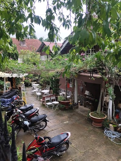 The image captures an outdoor courtyard area, likely a cafe or restaurant, in Lâm Viên - Đà Lạt, Vietnam. Lush green foliage drapes over a trellis, creating a natural canopy above the space. Several tables and chairs, predominantly white and made of metal, are arranged on a wet, stone-paved ground, suggesting recent rain.
In the foreground, a row of motorcycles is parked. The first motorcycle, closest to the viewer, is red and black. Behind it are other motorcycles, some covered with tarps.
The background reveals buildings with reddish-brown tiled roofs and brown walls. One building features white-framed windows. The courtyard is decorated with potted plants, including a large, reddish-brown pot containing a small tree. A shelf unit holding various items, including shoes and what appears to be an umbrella, is visible against one of the building walls. The overall atmosphere is tranquil and somewhat rustic, with the natural elements and the parked motorcycles suggesting a functional, everyday scene in a Vietnamese city.