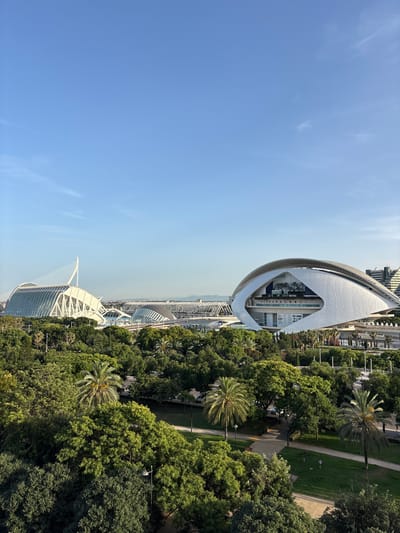 The image displays a panoramic view of the City of Arts and Sciences in Valencia, Spain, on a clear, bright day. The foreground is dominated by lush green trees and palm trees, suggesting a park or garden setting. A paved pathway winds through the greenery.
In the background, several striking modern architectural structures are visible. The most prominent is a large, white, eye-shaped building with a distinctive curved roof, identified as the Hemisfèric. To the left, another large structure with a white, sail-like roof and a glass facade, likely the Palau de les Arts Reina Sofía, is partially visible. Further in the distance, other contemporary buildings with intricate lattice-like structures and curved roofs can be seen. The sky is a vivid, cloudless blue. The overall impression is one of a modern, urban park surrounded by distinctive architectural landmarks.