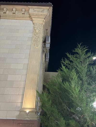 A medium shot captures the exterior of a building in Jezqazğan, Kazakhstan, at night. The building features a stone facade with elaborate decorative elements, including fluted columns and ornate carvings. A tall evergreen tree with dense foliage is positioned to the right of the frame, partially obscuring the building. The night sky is a deep, dark blue, with a single light fixture visible near the base of the column, casting a warm glow. The overall scene is illuminated by artificial lighting, highlighting the architectural details and the lush greenery of the tree. There are no people or animals visible in the image.
