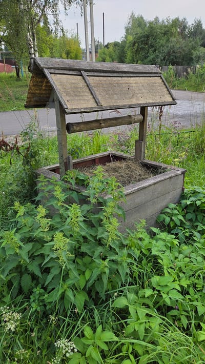This is an eye-level, medium-shot, outdoor, daytime photograph of an old wooden well in Ново-Талицы, Russia. The well is constructed of weathered grey wooden planks and has a wooden roof with a curved profile, covered in what appears to be corrugated material and supported by wooden posts. Inside the well's wooden frame, there is a pile of dry grass or hay. A wooden roller mechanism is visible across the top of the well opening. The well is surrounded by overgrown green vegetation, including nettles and other wild plants, with some dry grass and twigs interspersed. In the background, a paved road or pathway is visible, along with trees, a wooden fence, and utility poles. The sky is overcast and light. There are no people or animals present.