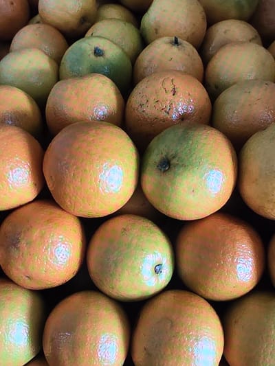 A close-up, overhead shot shows a large pile of ripe oranges, some with hints of green and some entirely orange. The oranges are arranged in rows and are tightly packed together. The lighting is bright and appears to be natural, casting subtle shadows on the fruit. The background is dark, emphasizing the vibrant colors of the oranges. The image does not depict any specific location in the city of Voluntari, Romania, nor does it show any people, actions, or interactions.