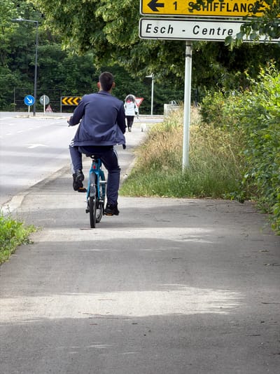 In Esch-sur-Alzette, Luxembourg, a young man is cycling on a paved sidewalk beside a road. He is viewed from behind, wearing a dark blue tracksuit with white stripes on the legs and arms, and black sneakers. He is on a blue bicycle. A woman in a white jacket and dark pants, accompanied by a white dog, walks on the road behind him. A street sign indicates "1 SCHIFFLANGE" to the left and "Esch - Centre" to the right. The environment consists of green trees and vegetation, a street lamp, and traffic signs. The road has white lane markings. The lighting suggests it is daytime.