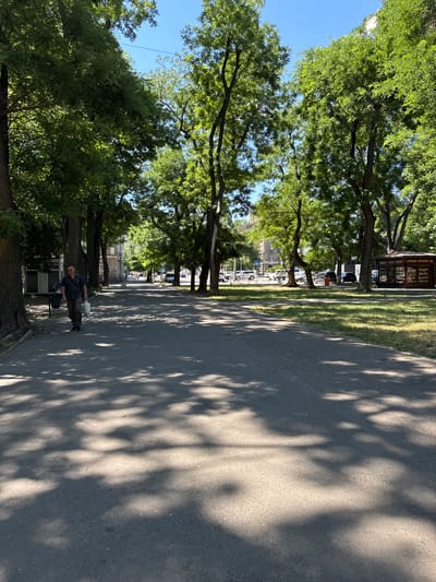 A man stands on a paved path lined with trees casting dappled shadows. He is wearing sunglasses, a dark patterned shirt, and dark pants. He carries a white bag in his right hand and a dark bag in his left hand. The path runs alongside a grassy area with more trees. In the background, there are buildings and what appears to be a small shop or kiosk with awnings. Cars are parked along the side of the road in the distance. The sky is clear and blue, suggesting a sunny day. The time of day appears to be midday or early afternoon, given the angle of the shadows. The overall scene is one of a peaceful, sunny day in a park or a tree-lined street.