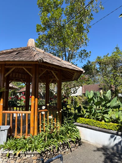 A medium shot captures a vibrant outdoor scene featuring a bamboo gazebo in Baturiti, Indonesia. The gazebo, constructed from natural bamboo poles and featuring a thatched roof, is a prominent focal point. Surrounding the gazebo is lush greenery, including flowering plants with red and white blooms, as well as broad-leafed plants. The ground is paved with asphalt, and a stone-lined planter filled with small green bushes adds to the landscaping. In the background, glimpses of buildings with terracotta roofs can be seen through the foliage, suggesting a residential or resort area. The sky is a clear, bright blue, indicating a sunny day. A grey trash bin is visible to the left of the gazebo, and power lines run through the upper right portion of the frame. The overall impression is one of a tropical, serene environment.