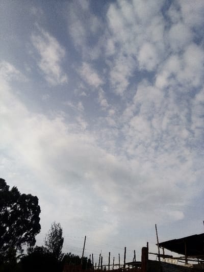 The image displays an outdoor scene in Nachu ward, Kenya, primarily comprising a sky with cloud formations over a terrestrial horizon. Approximately two-thirds of the frame is occupied by a light blue sky populated with scattered white and grey clouds, exhibiting patterns consistent with stratocumulus and altocumulus types. The lower third of the image features dark silhouettes of environmental and structural elements. On the far left, a dense mass of trees with dark foliage is visible. Extending from the left mid-ground towards the right, a series of upright dark wooden poles are present, some connected by horizontal elements, suggestive of a fence line or an unfinished framework. To the far right, a partial view of a dark, sloped roof, possibly constructed from corrugated metal, is visible above lighter-toned materials. No individuals, specific actions, or interactions are discernible within the frame.