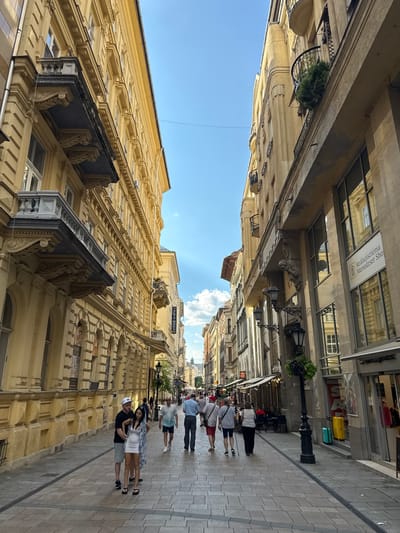 The image captures a sunny day on a pedestrian street in Budapest, Hungary. The scene is dominated by the grand architecture of the buildings lining the street, with their ornate facades and multiple stories. The perspective is looking up towards the sky, with the buildings creating a canyon-like effect.
Several people are walking along the cobblestone street, suggesting it is a popular area for leisure or shopping. Their attire indicates a warm, possibly summer, day. A few individuals are clustered together, perhaps chatting or posing for photos, while others walk individually or in pairs. Objects like lampposts with hanging greenery and streetlights add to the urban ambiance. Some storefronts are visible, hinting at commercial activity.
The sky is bright blue with a few scattered clouds, and the sunlight casts shadows, indicating it's likely midday or afternoon. The architecture, with its classical elements and yellowish stone, is characteristic of many European cities, and specifically Budapest. The overall mood appears relaxed and pleasant, typical of a city outing on a clear day. Some signs are visible on the buildings, though they are too small to read clearly in the main image, but with the help of the crops, one sign is identifiable as "REALSZISZTÉMA". Another sign appears to read "ALIA NOIR".