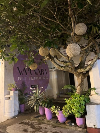 This is a photograph of a shopfront in Galle, Sri Lanka. The image is oriented vertically. In the foreground, branches of a tree with lush green leaves are visible. Several spherical, woven decorations hang from the branches. The shop's sign, a large purple oval, displays the text "VARVARA RITTENBERG FASHION EST. 2019". To the right of the sign, potted plants with vibrant green foliage are arranged in a line. The plants are in purple pots. The setting appears to be an outdoor walkway or street, with a textured stone ground. The lighting suggests it might be evening or nighttime, with artificial lights illuminating the scene. The overall impression is one of a well-decorated and inviting boutique.