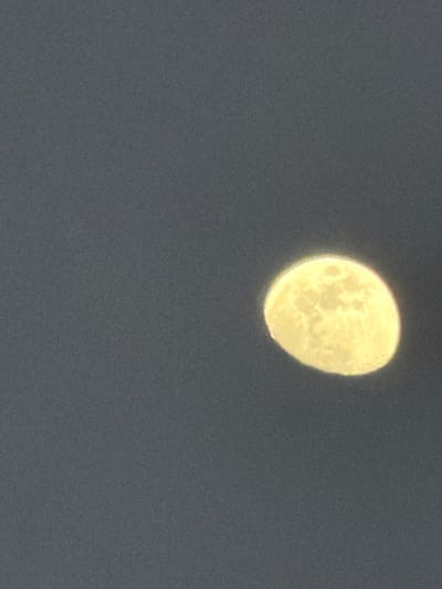 The image shows a bright, almost full moon in a dark gray sky. No location information is available.