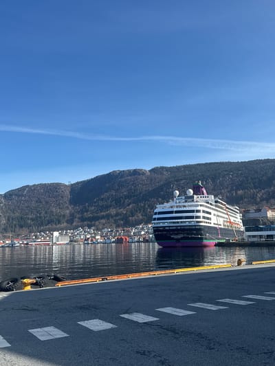 The image depicts a large cruise ship docked at a pier in Bergen, Norway. The ship, named "Renaissance Hamilton," is docked alongside a paved area with white markings and an orange guardrail. The water reflects the ship and the city. Behind the ship, a densely forested mountain rises sharply. Residential buildings and infrastructure line the shoreline. The sky is blue with a faint contrail visible. The scene is bathed in bright daylight.
