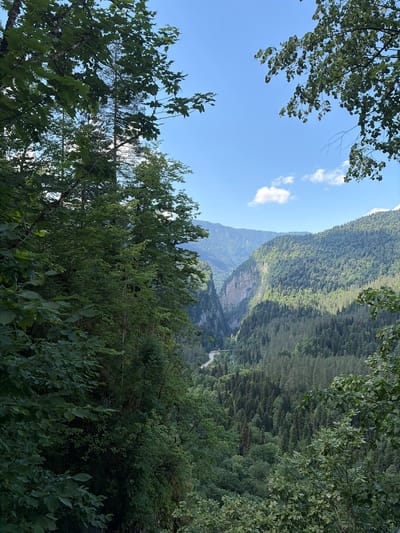 The image captures a scenic mountain valley with lush green forests and a clear blue sky with scattered clouds. The foreground is dominated by the foliage of large trees, framing the view of the valley beyond. The valley itself is deep and narrow, with steep, tree-covered slopes on either side. A winding road is visible at the bottom of the valley, and a small structure can be seen alongside it, possibly a building or an observation point. The mountains in the background are layered and receding into the distance, creating a sense of depth and grandeur. The overall impression is one of natural beauty and a remote, wild landscape. The location is identified as Unknown, Abkhazia.