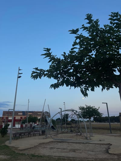 The image shows a park in Paiporta, Spain, during the early evening. In the foreground, tree leaves frame the view of a playground with climbing structures and a slide. The light is fading, and the moon is visible in the sky. Two birds perch atop a light pole in the middle ground. Behind the playground, residential buildings are visible, including townhouses or apartments with red-tiled roofs. A field or open space is discernible further back, ending with a line of trees. A concrete pathway runs alongside the playground.