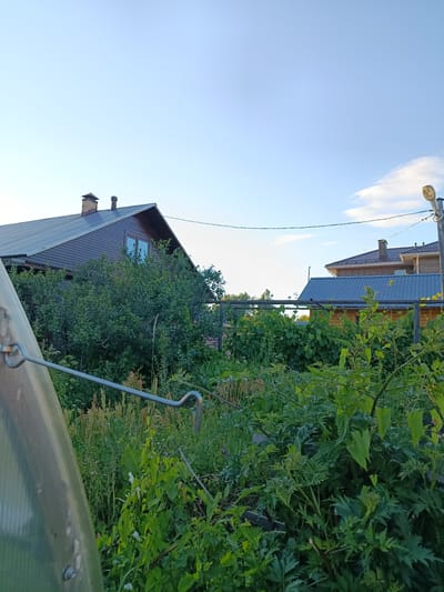 This media file shows an outdoor scene with two houses and lush greenery. The house on the left has a dark brown, textured siding and a metal roof with two chimneys. One window is visible on the upper floor. The house on the right appears to be made of brick and has a dark metal roof, with a smaller wooden structure attached to it. Both houses are surrounded by dense foliage, including trees and bushes, indicating a garden or natural setting.
In the foreground, a portion of a green, translucent structure is visible on the left, possibly a greenhouse or a similar garden structure, with a metal wire attached to it. The wire runs horizontally across the frame, with a hook visible near the center. A metal pole with a light fixture is also present on the right side of the image, suggesting an outdoor light source. The sky is clear and blue with a few wispy clouds, indicating it is daytime. The overall impression is of a rural or suburban backyard on a pleasant day. The greenery suggests it is likely spring or summer. There is no visible text in the image.