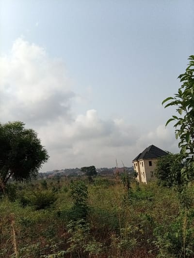 This image displays an uncultivated landscape within Ukwu-Abwa, Nigeria, under a partly cloudy sky. The foreground and midground are densely covered with wild vegetation, including tall, dry grasses, various green bushes, and small trees. To the right, a three-story, light-colored building with a dark, sloped roof is partially visible, appearing residential and potentially unfinished or unoccupied due to its isolated positioning within the overgrown terrain. A large, mature tree with dense green foliage is prominent on the left side of the frame. In the background, a cluster of residential buildings and roofs indicates a distant urban or suburban area situated along a higher elevation. No individuals, animals, or active human interactions are depicted in the scene.