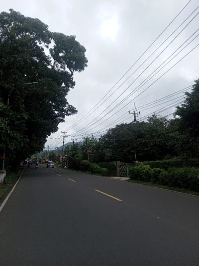 A straight asphalt road with a yellow dividing line runs between lush green trees and vegetation. Utility poles line the roadside, connecting overhead wires across the overcast sky. A white car and motorcycles are visible in the distance. The scene depicts a rural or suburban landscape with a paved road for transportation. Mountains are slightly visible in the distance.