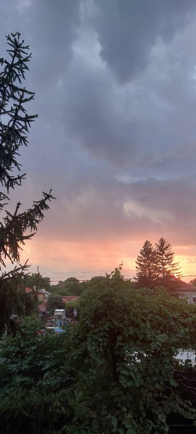 This is a vertically oriented photograph taken in Yagodovo, Bulgaria. The image captures a dramatic sky at dusk, with a mix of dark, heavy clouds on the left and a vibrant sunset gradient of pink, orange, and yellow on the right. Silhouetted against the brighter sky are the dark branches of a tall evergreen tree, possibly a pine or fir, and the foliage of leafy trees and vines.
In the lower portion of the frame, more evergreen branches are visible in the foreground. The background reveals a village scene with red-tiled roofs and glimpses of houses. A white and blue structure, possibly a mobile home or shed, is also visible amongst the greenery, along with some other indistinct objects that suggest a residential or semi-rural setting. Power lines are also present, stretching horizontally across the scene.
The overall mood is one of transitioning light, with the approaching darkness of the storm clouds contrasting with the warm, fading light of the sunset. The photograph seems to have been taken from an elevated viewpoint, looking out over the landscape. No people are visible in the image, and there is no discernible text. The time of day is clearly sunset, and the weather appears to be mixed, with signs of an approaching storm alongside the sunset.