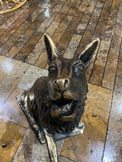 A bronze or metal sculpture of a llama's head is mounted on a wall or plaque. The llama has detailed features like expressive eyes and textured fur. The metallic finish gives it an aged appearance. The background is a tiled floor or wall with a glossy surface, reflecting light and creating a wet appearance. The perspective is from above, looking down at the llama head.