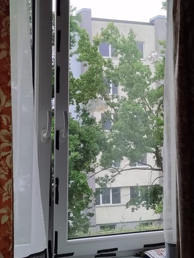 A view through an open window shows a silver balloon entangled in the branches of a large green tree, with a pale building visible behind the tree. The window has white frames and handles, and sheer white curtains hang to the left. To the right, a dark brown curtain is visible. The scene appears to be in the city of Rezekne, Latvia.
