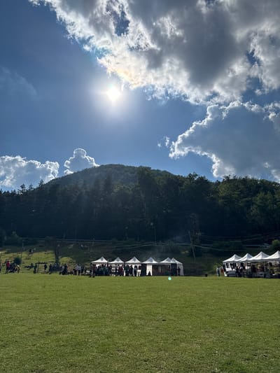 The image depicts an outdoor event taking place on a grassy field at the base of a forested hill, under a bright, partially clouded sky. The sun is high and casts lens flare, indicating it is midday. In the foreground, the field is covered in short, green grass. In the middle ground, a line of white tents is set up, suggesting a market or festival. People are gathered around these tents, some appearing to be browsing or interacting. Further up the hill, more people are visible sitting on benches or picnicking. The hill is densely covered with dark green trees, with some lighter green areas indicating cleared spaces. The sky is a vibrant blue, with large, fluffy white and gray clouds. The sun is partially obscured by a cloud, creating a bright halo effect. There are also power lines visible running across the mid-ground of the scene. The overall atmosphere is one of a lively outdoor gathering on a sunny day. This scene is likely located in Vratsa, Bulgaria, given the context of the request.