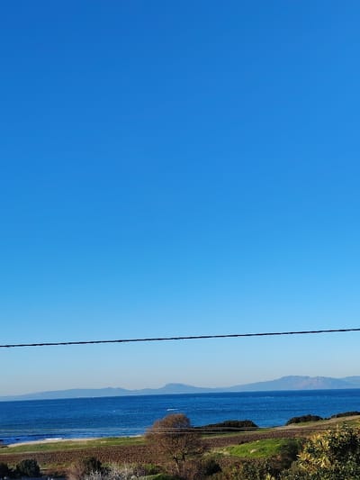 A clear, cloudless blue sky dominates the scene above a seascape. A thin, dark power line cuts across the midground. The blue ocean stretches to the horizon, where hazy mountain ranges are visible. Closer, there's a sandy beach with white waves. Lush green vegetation and bare trees dot the foreground, lending depth and texture to the lower portion of the image.