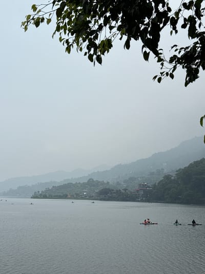 The image shows a view of Phewa Lake in Pokhara, Nepal. The lake is calm and gray, with three boats visible. The nearest boat appears to have two people in it. There is a green tree branch in the foreground. The background shows layered hills covered in green trees and buildings. The sky is overcast.