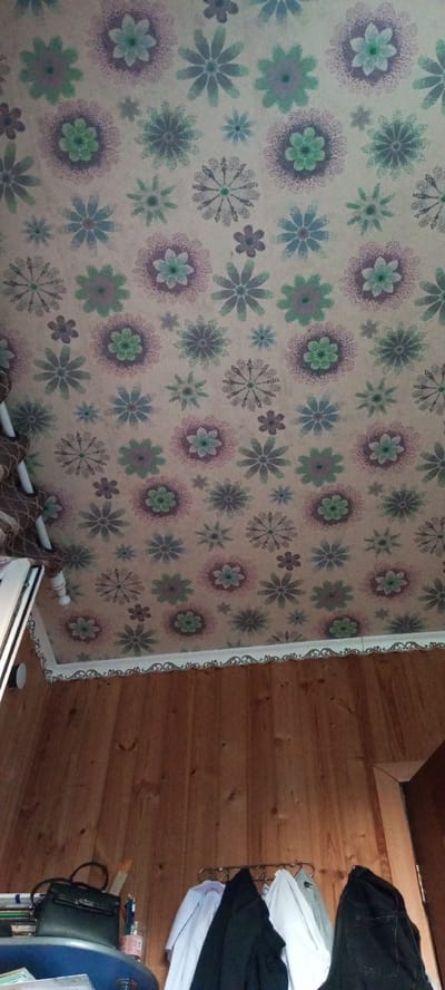 The image shows a room with wood-paneled walls and a floral-patterned ceiling. The ceiling has a repetitive design of flowers in shades of purple, green, and blue. There is a white decorative border along the edge of the ceiling where it meets the walls.
On the lower part of the image, the wooden walls are visible. Against the wall, on the left, is a dark handbag and some books and stationery items. A rack with several items of clothing hanging on it is visible on the right. The clothing includes what appear to be jackets and shirts in various colors.
The scene depicts an indoor domestic environment. It is not possible to determine the specific location within Urussu, Russia from the provided image. There are no people or discernible actions depicted in the image.