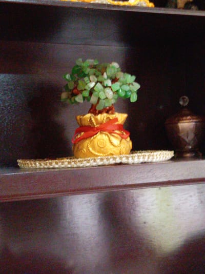 A small jade tree sits in a golden money bag tied with a red ribbon, on a shelf inside a dark wooden cabinet, alongside a small brown container with a lid. The shelf is edged with a white and gold trim. The image was taken indoors in Tinaquillo, Venezuela.