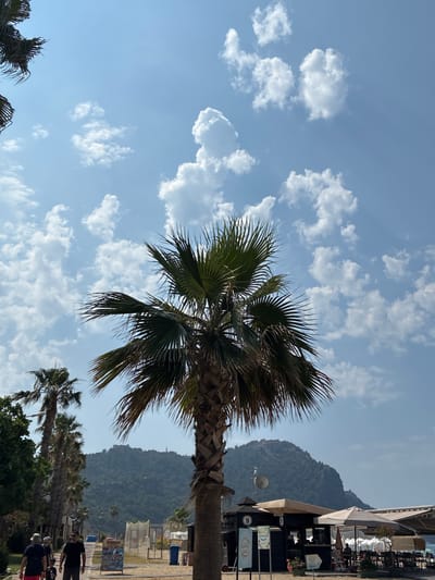 In Alanya, Turkey, a mature palm tree stands tall in the foreground against a bright blue sky dotted with fluffy white clouds. To the left, a line of shorter palm trees and lush green foliage lines a sandy walkway. Several people are visible on the walkway, including two men in the foreground and a small child. Behind them, a low-rise building with awnings and tables suggests an outdoor cafe or restaurant. In the distance, a majestic mountain range rises, topped by ancient ruins, providing a dramatic backdrop to the coastal scene. The atmosphere is bright and sunny, typical of a Mediterranean summer day.