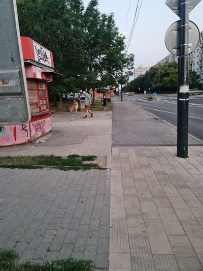 A person walks a golden-colored dog on a leash along a sidewalk next to a red kiosk. The kiosk has graffiti on its side and a sign with text. The sidewalk is made of interlocking concrete pavers. In the background, there is a street with cars, trees lining the street, and apartment buildings. A street sign with circular and rectangular plates is also visible. The sky is overcast. The scene appears to be in a residential area of Bratislava, Slovakia.